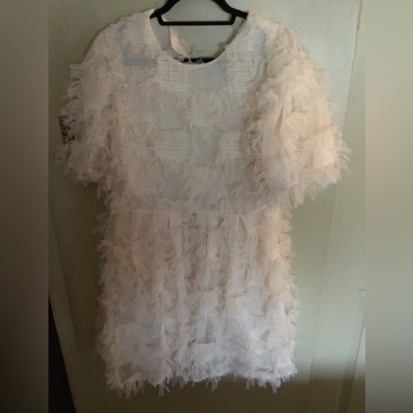 Mini Dress - Picture 2 of 8